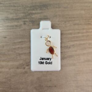 10k Gold January Birthstone Babies/Child Boy Charm